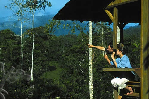 Selva Bananito Lodge 006